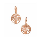 Large rose gold vermeil boab tree circle earrings inspired by the Kimberley designed in Broome Western Australia