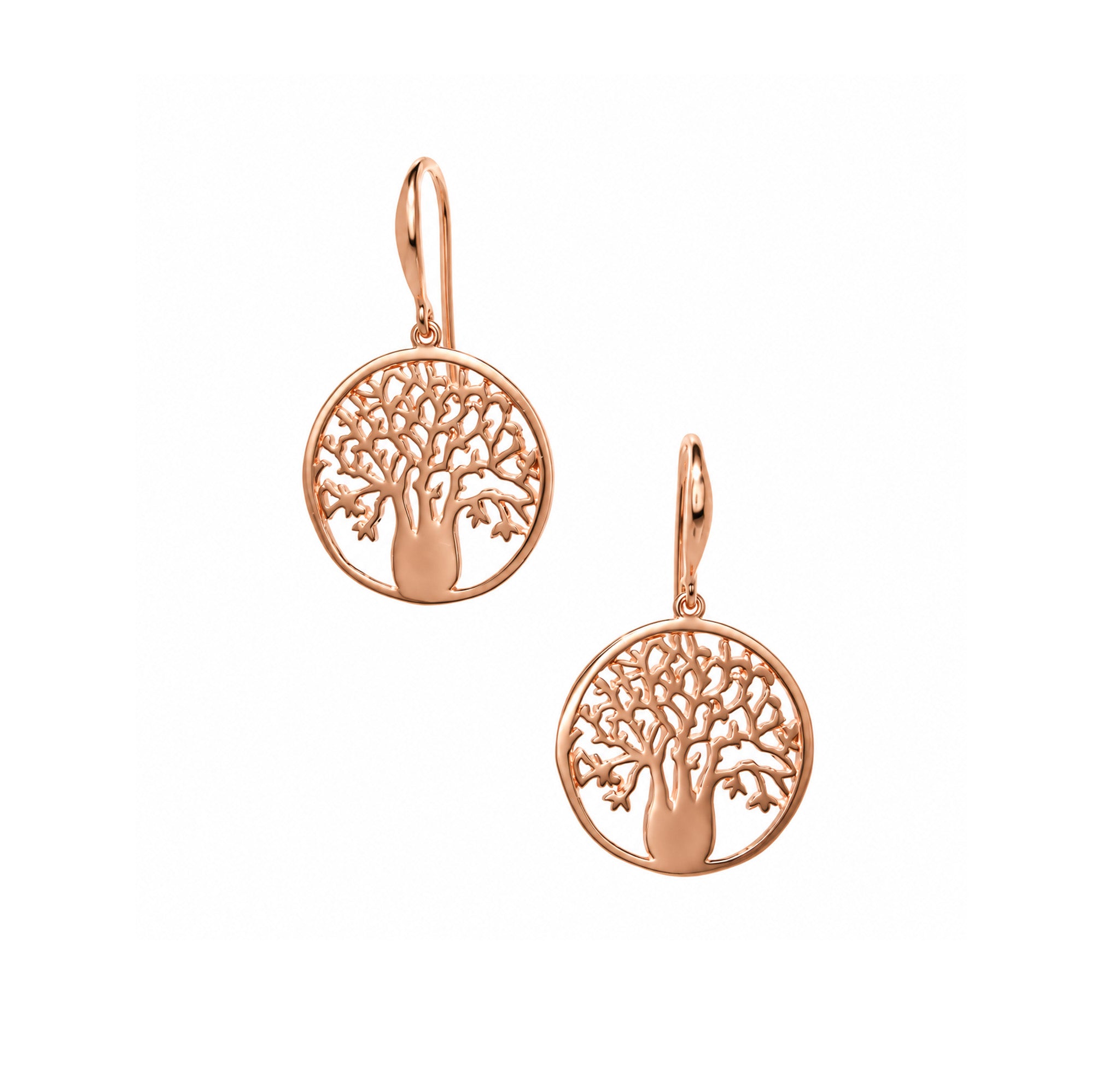 Large rose gold vermeil boab tree circle earrings inspired by the Kimberley designed in Broome Western Australia