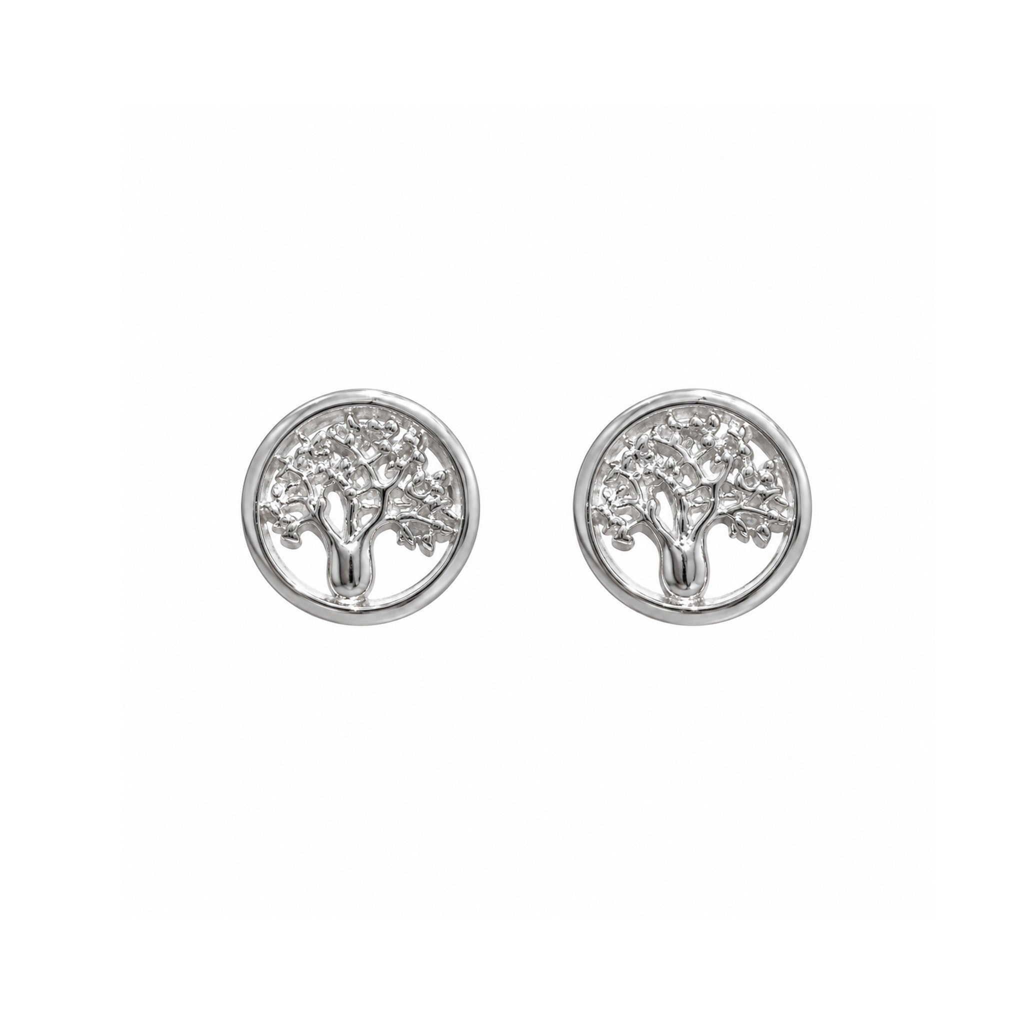 sterling silver studs with intricate kimberley boab tree of life design