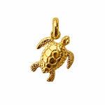Gold vermeil sea turtle pendant necklace by Lush Designs Jewellery, designed in Broome Western Australia