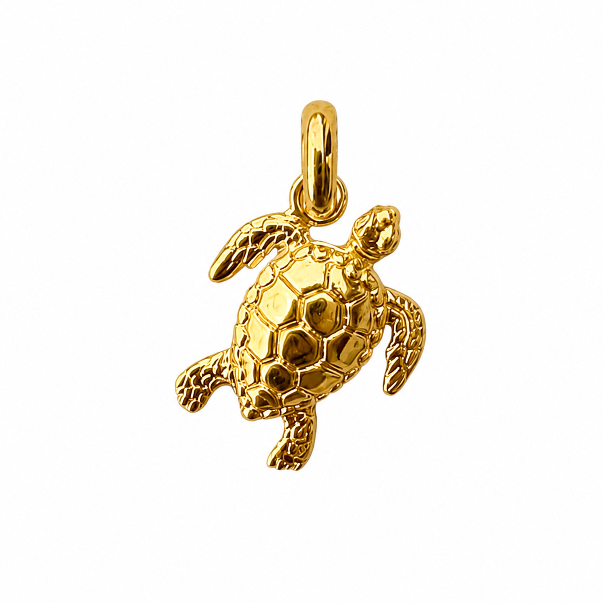 Gold vermeil sea turtle pendant necklace by Lush Designs Jewellery, designed in Broome Western Australia