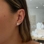 sterling silver cowrie shell stud earrings