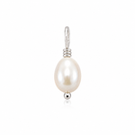 A single freshwater pearl pendant in a silver setting.