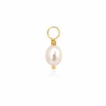 A single gold pendant charm featuring a freshwater pearl with a gold ring loop at the top and a small gold bead at the bottom