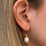 Coco White Pearl 10mm Hook Earrings crafted in premium gold vermeil over sterling silver featuring genuine white freshwater pearl drops suspended from polished gold hooks.