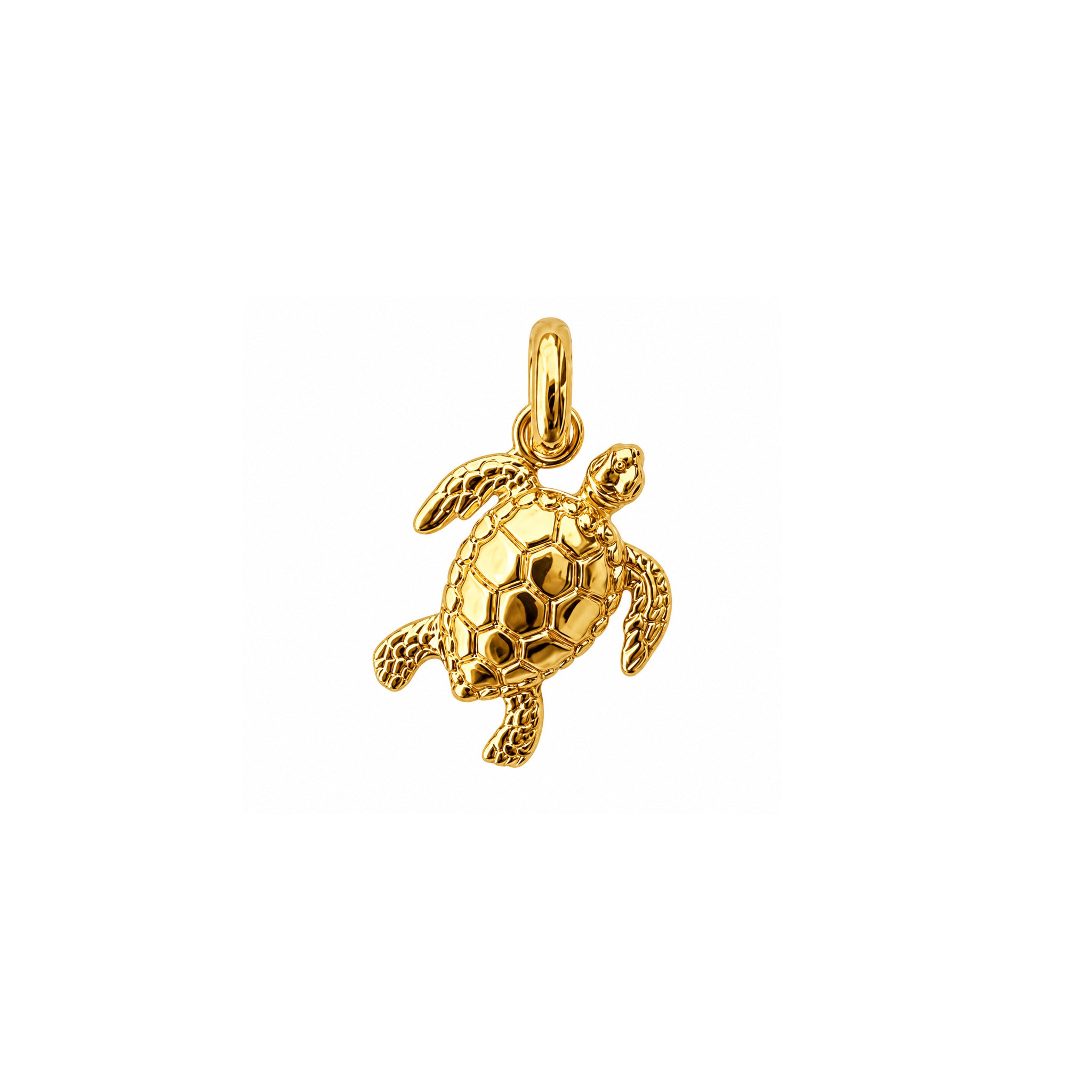 Gold vermeil sea turtle pendant necklace by Lush Designs Jewellery, designed in Broome Western Australia