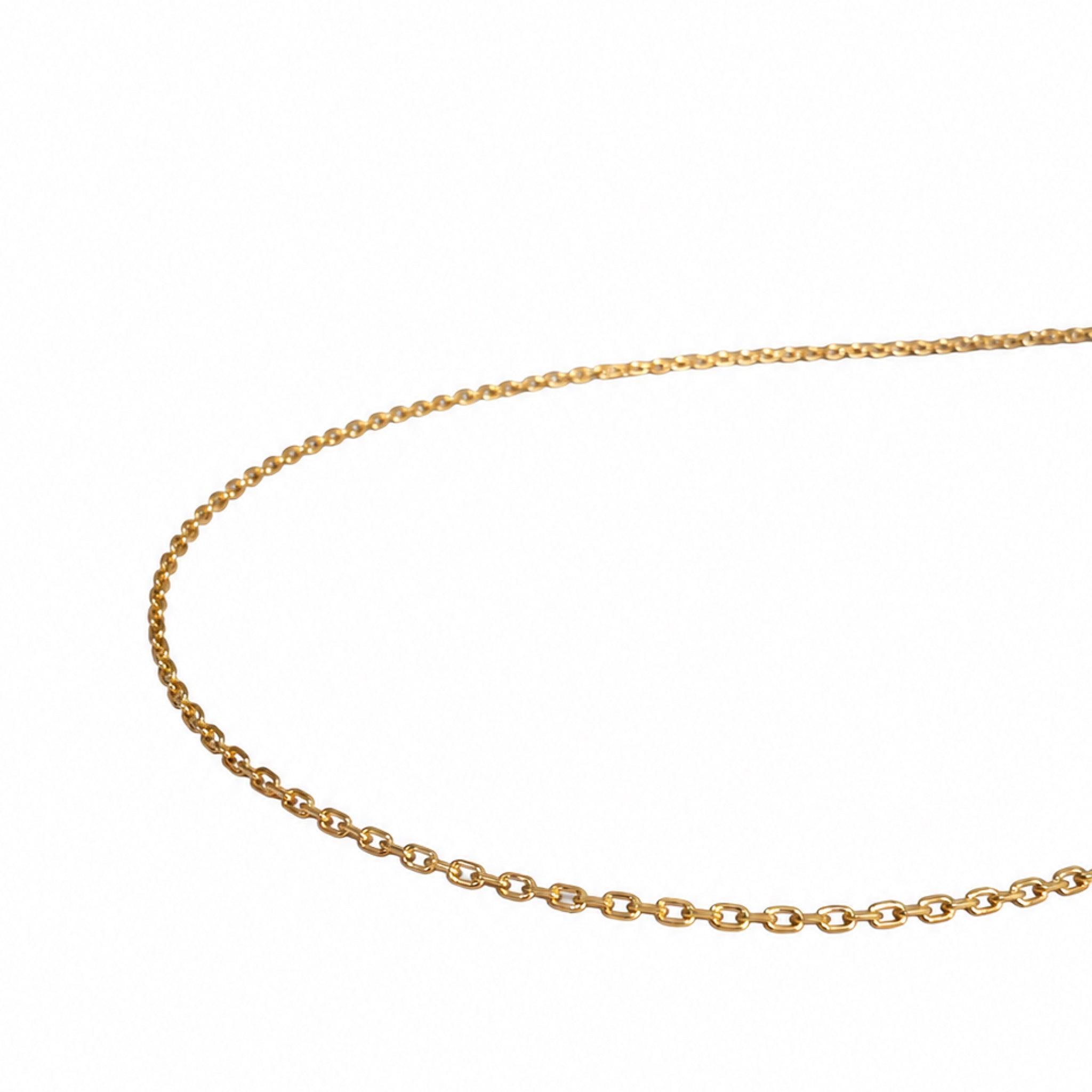 Close-up of delicate gold vermeil necklace chain links showing the fine craftsmanship and 2-micron gold plated finish.