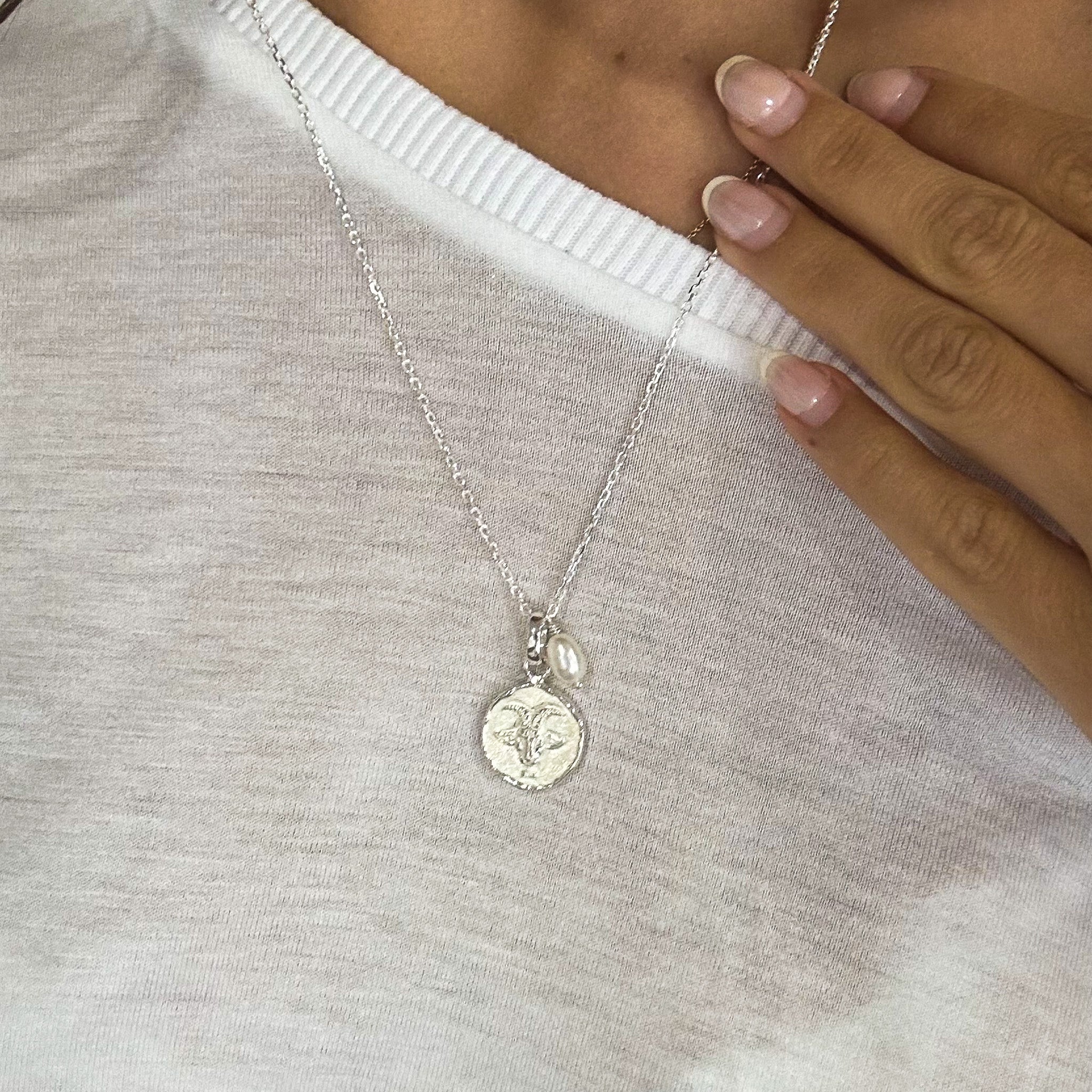 sterling silver reversible capricorn zodiac necklace