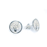 Boab Tree stud earrings in 925 sterling silver designed in Broome Western Australia