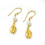 beach dreams cowrie shell earrings gold vermeil coastal beach jewellery australia