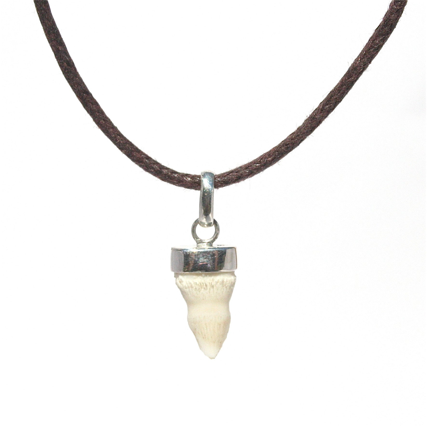 Crocodile tooth pendant on a brown cotton necklace inspired by the Kimberley region and designed in Broome, Western Australia.