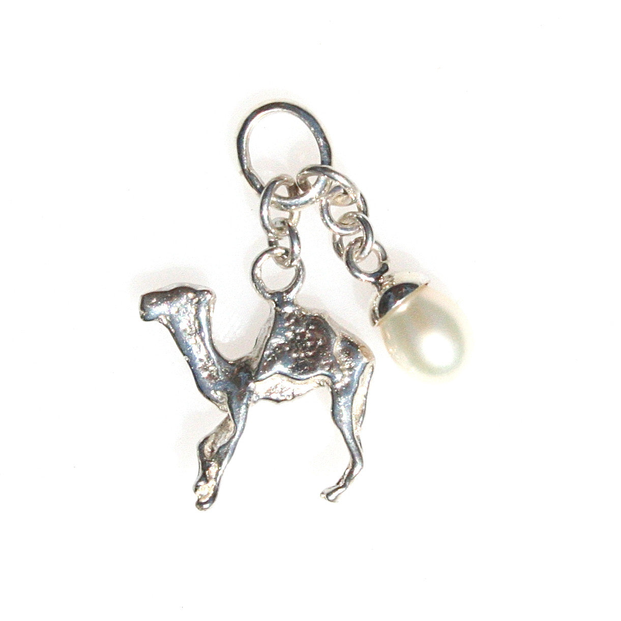 camel charm