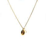 “Cowrie shell gold vermeil necklace with freshwater pearl designed in Broome Western Australia”